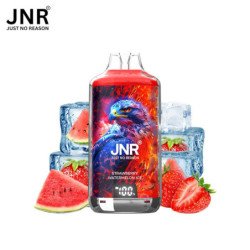 JNR Falcon-X 28K – Puff rechargeable 28 000 puffs, réservoir 10 ml + 2×10 ml, dual mesh 1.2 Ω, 950 mAh