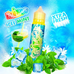 Icee Mint 50ml - Fruizee